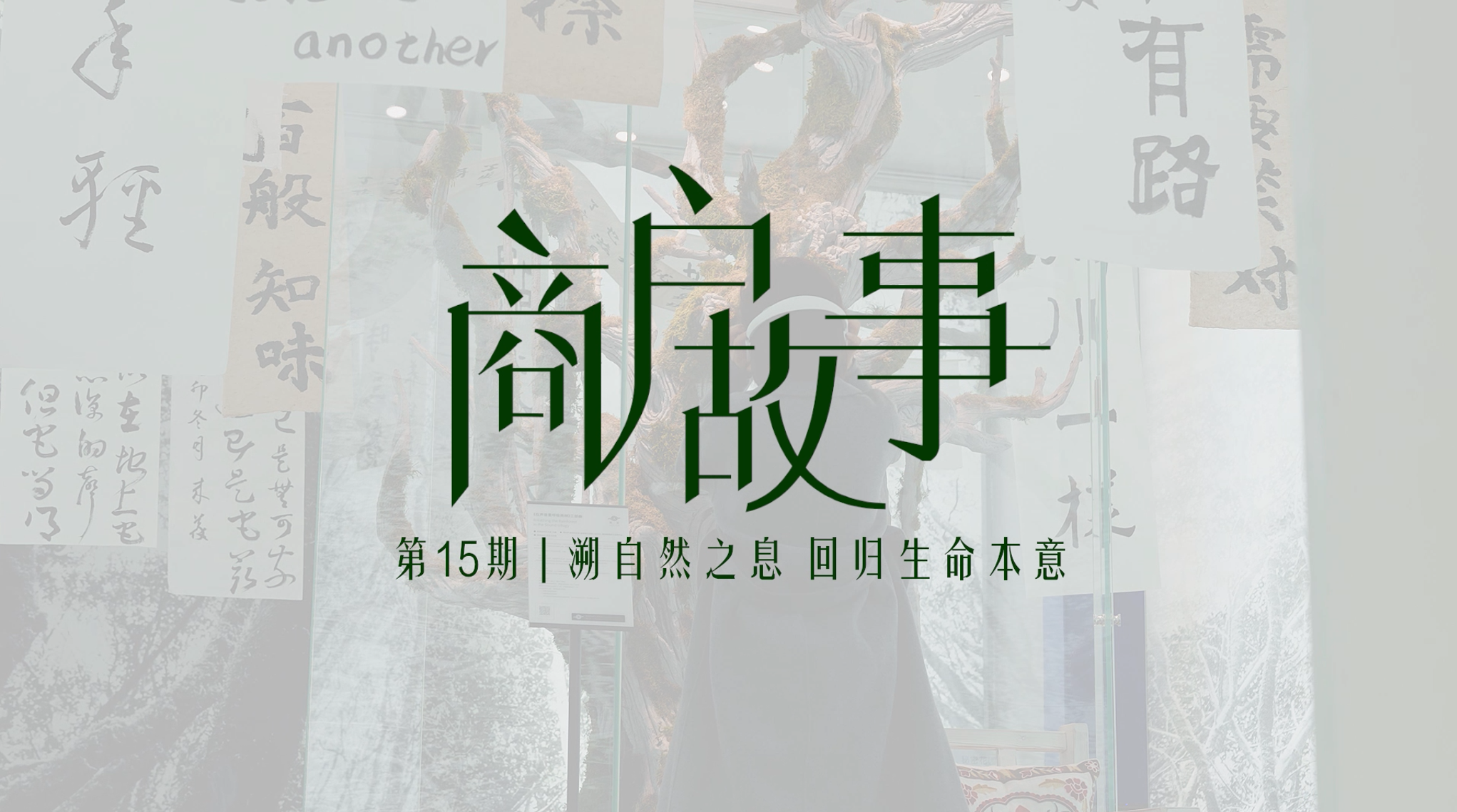 NOPAY钱包